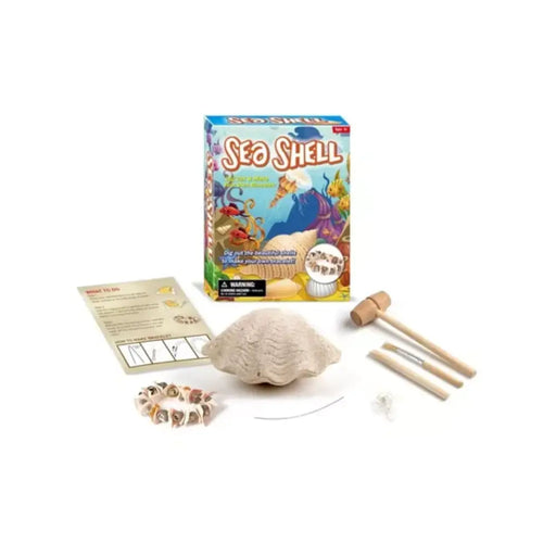 Kit Excavación Conchita De Mar Y Brazalete Juguete Educativo - Fliperex