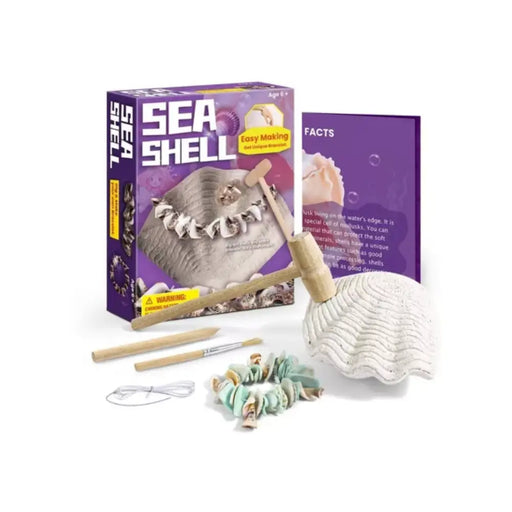 Kit Excavación Descubre Conchitas De Mar Juguete Didáctico - Fliperex