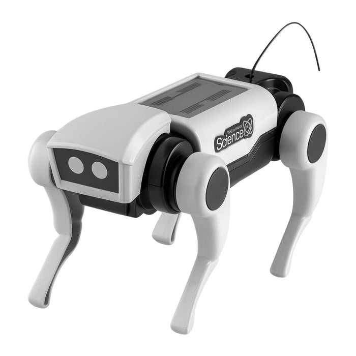 Kit 2 Arma Tu Primer Perro Robot RC a Control Remoto Juguete