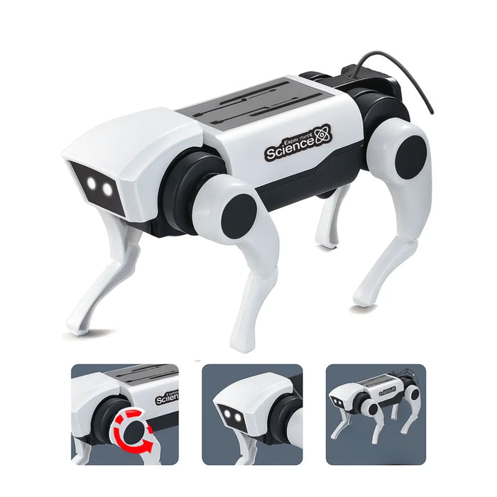 Kit 2 Arma Tu Primer Perro Robot RC a Control Remoto Juguete