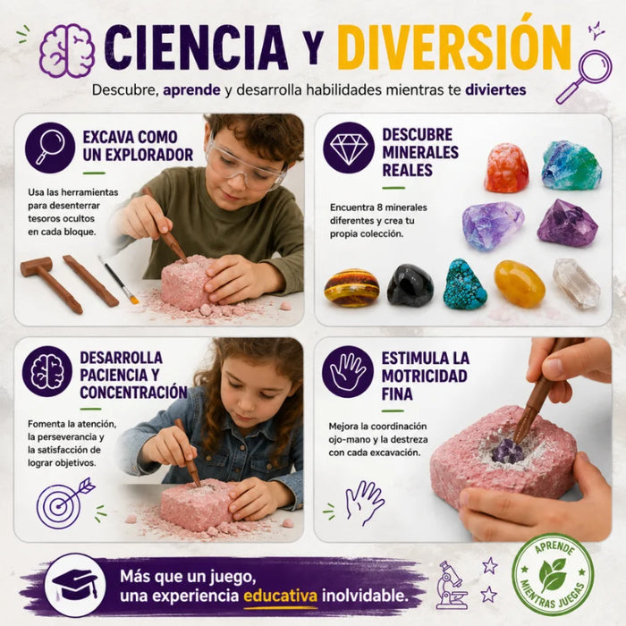 Kit Excavacion Rocas Y Minerales Ciencia Juguete Educativo