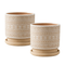 Macetero Maceta De Ceramica Beige Con Patrones Blancos M