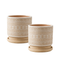 Macetero Maceta De Ceramica Beige Con Patrones Blancos S