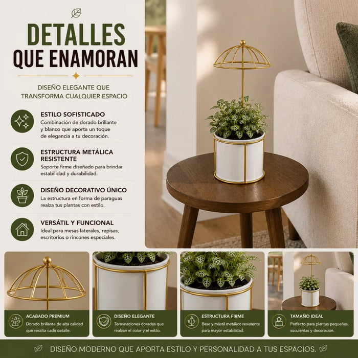 Macetero Metalico Con Pedestal Decorativo Plantas Suculentas