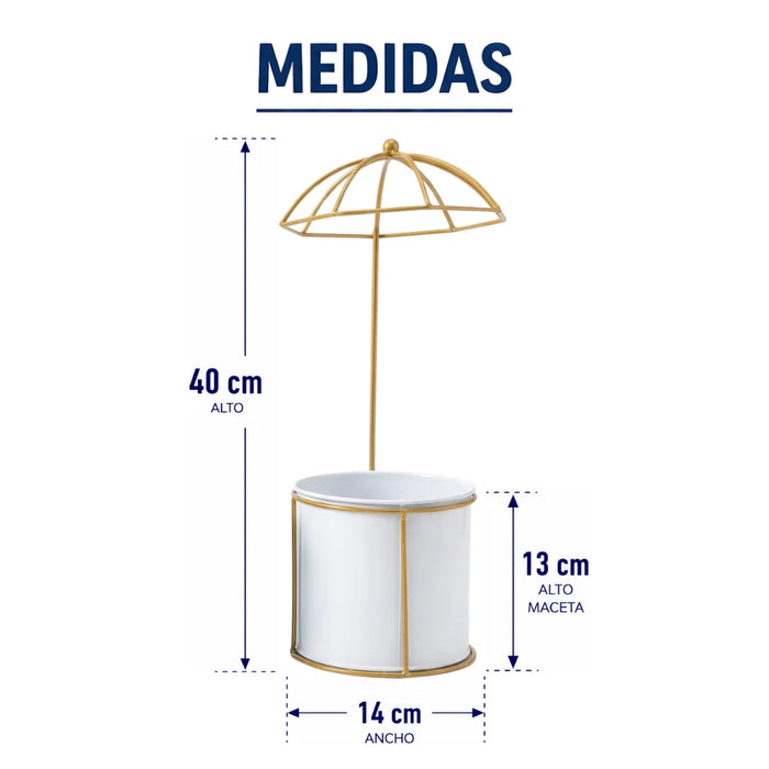 Macetero Metalico Con Pedestal Decorativo Plantas Suculentas