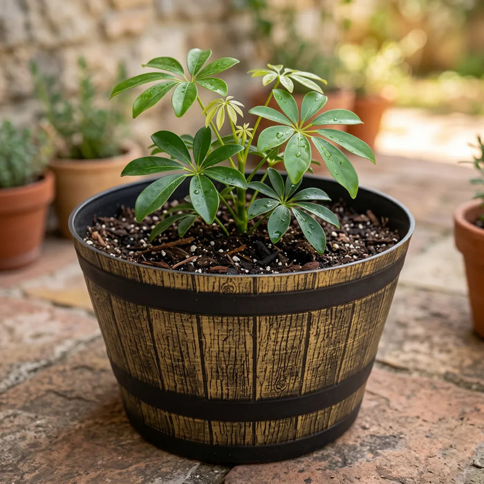 Macetero Plastico Diseño Efecto Barril De Madera Maceta S