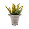 Planta Artificial Macetero Cerámica Home And Flower Amarillo