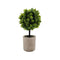 Planta Artificial Macetero Cerámica Mini Arbolito Verde