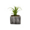 Planta Artificial Macetero Cerámica Vintage Cubo Gris Líneas