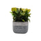 Planta Artificial Macetero Cerámica Vintage Plants Cubo