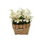 Planta Artificial Macetero Estilo Mimbre Flores Blancas