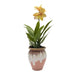 Planta Artificial Orquidea Amarilla Macetero De Ceramica - Fliperex