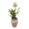 Planta Artificial Orquidea Blanca Macetero De Ceramica