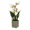 Planta Artificial Orquidea Blanco Decorativa Macetero Loza