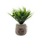 Planta Artificial Plantita Macetero Ceramica Sweet Home