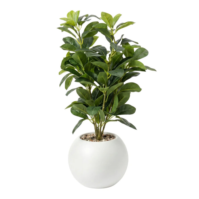 Planta Artificial Ficus Decorativa Maceta Decoracion Hogar