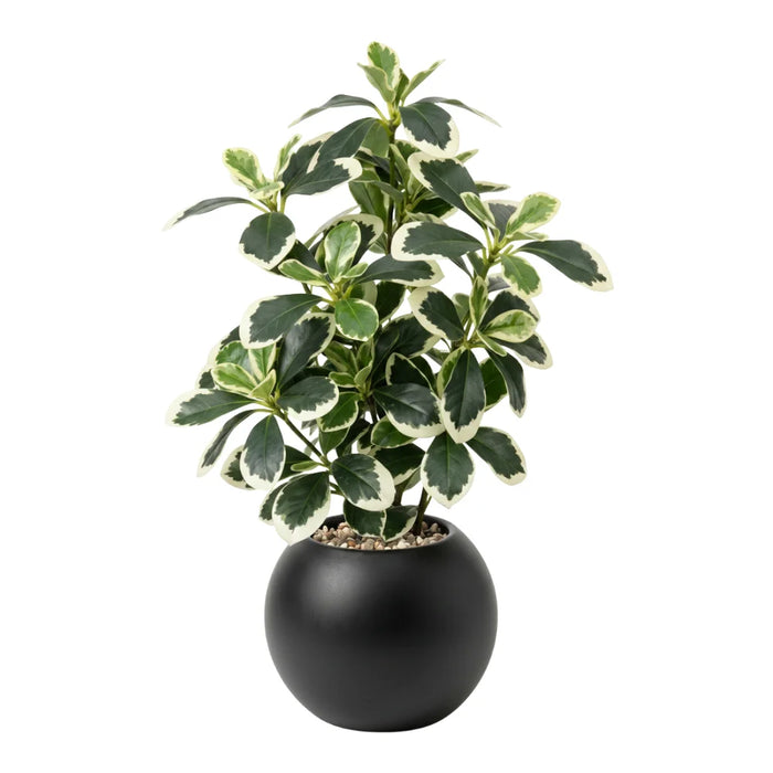 Planta Artificial Ficus Decorativa Maceta Decoracion Hogar