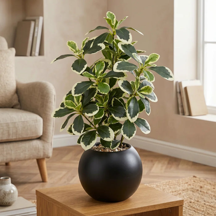 Planta Artificial Ficus Decorativa Maceta Decoracion Hogar