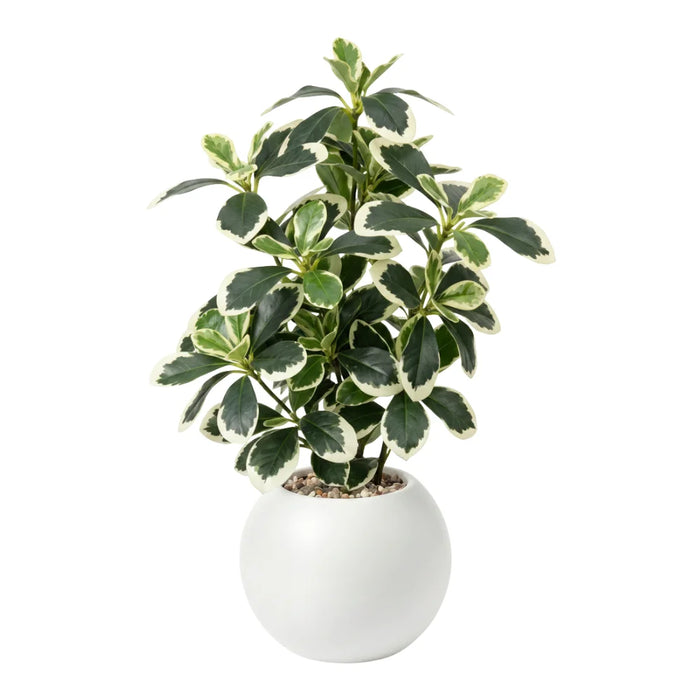 Planta Artificial Ficus Decorativa Maceta Decoracion Hogar