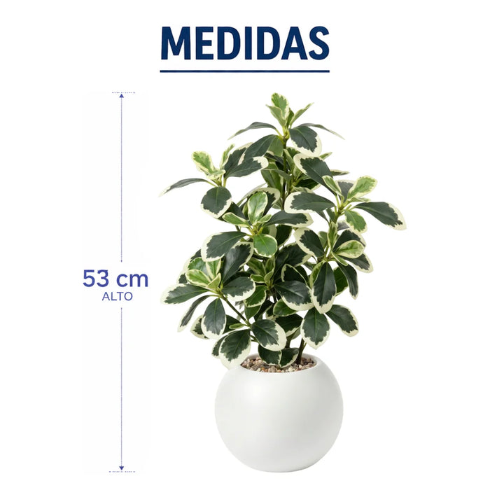 Planta Artificial Ficus Decorativa Maceta Decoracion Hogar