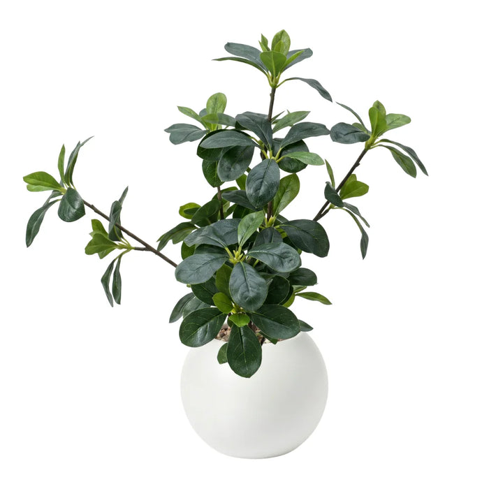 Planta Artificial Ficus Decorativa Maceta Decoracion Hogar