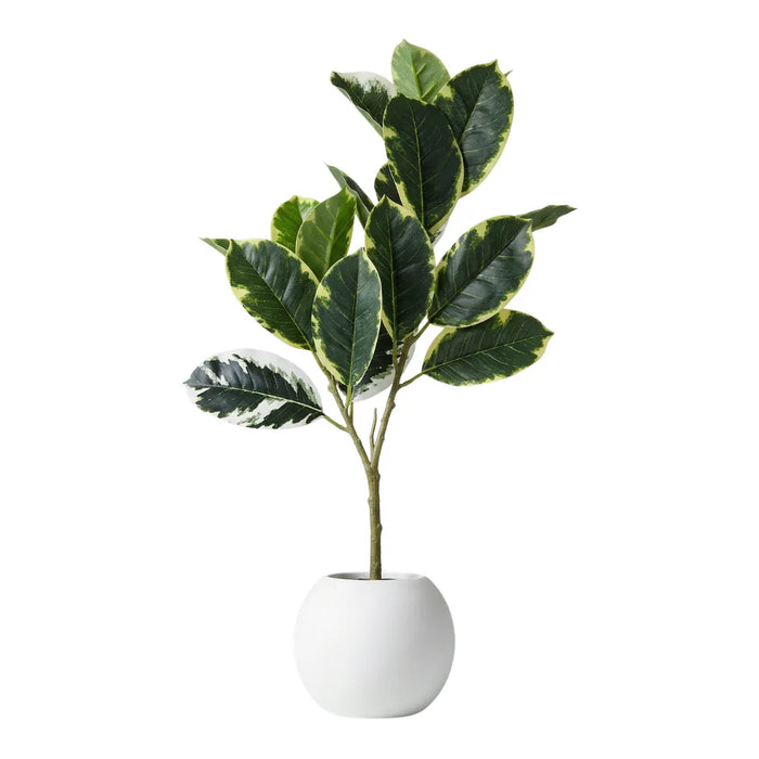 Planta Artificial Ficus Elastica Variegado Decoracion Hogar