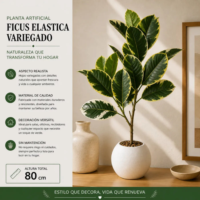 Planta Artificial Ficus Elastica Variegado Decoracion Hogar