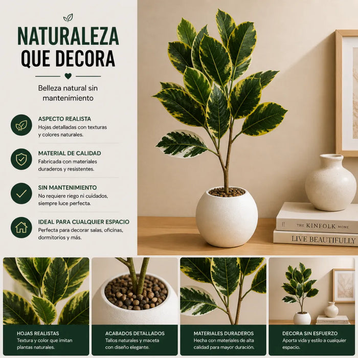 Planta Artificial Ficus Elastica Variegado Decoracion Hogar