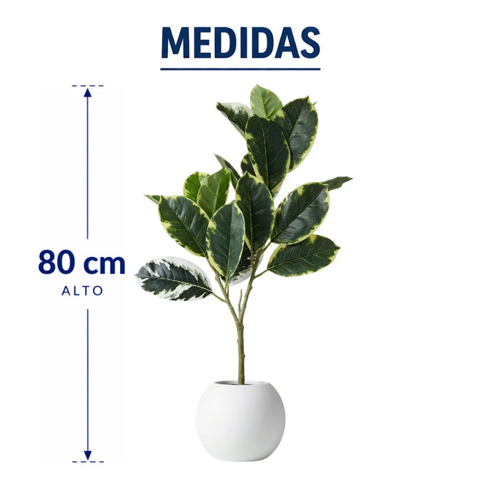 Planta Artificial Ficus Elastica Variegado Decoracion Hogar