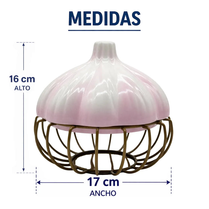 Porta Ajos Decorativo Caja Para Ajos Organizador Cocina