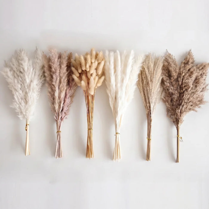 Ramo De Flores Secas Pampas Grass Y Cola De Zorro Boho