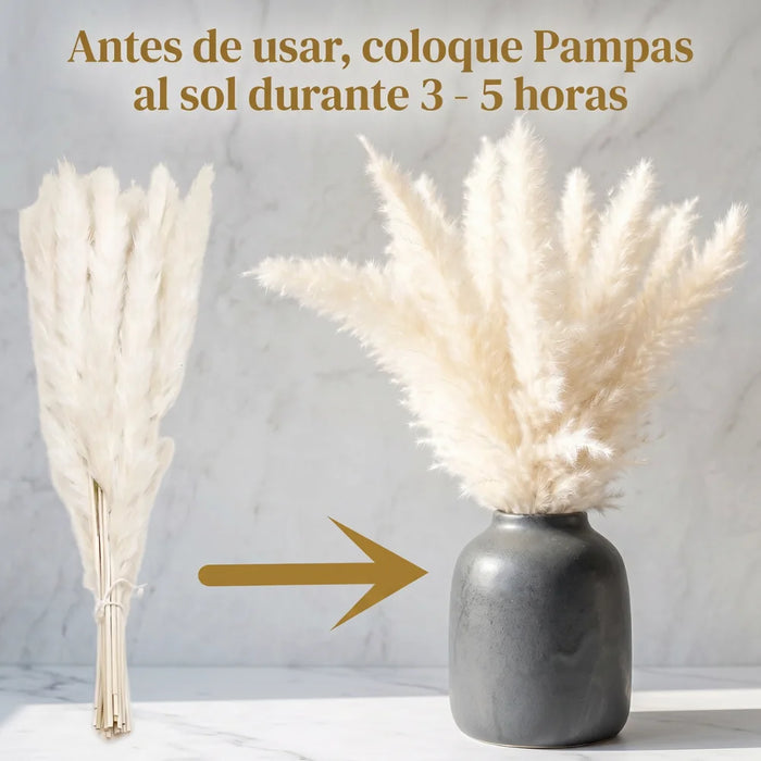 Ramo De Flores Secas Pampas Grass Y Cola De Zorro Boho