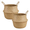 Set 2 Macetero Cesto Maceta Mimbre Tejida Plegable Con Asas