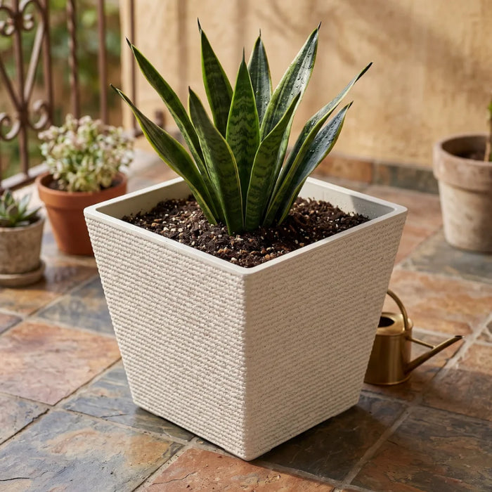 Set 2 Macetero Plastico Bajo Premium Base Cuadrada Conica S