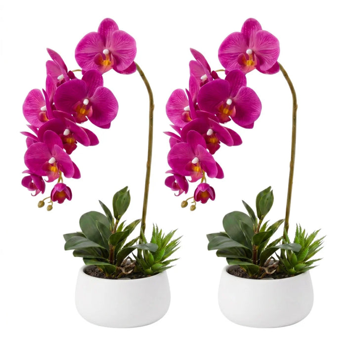 Set 2 Plantas Artificiales Orquidea Maceta Decoracion Hogar