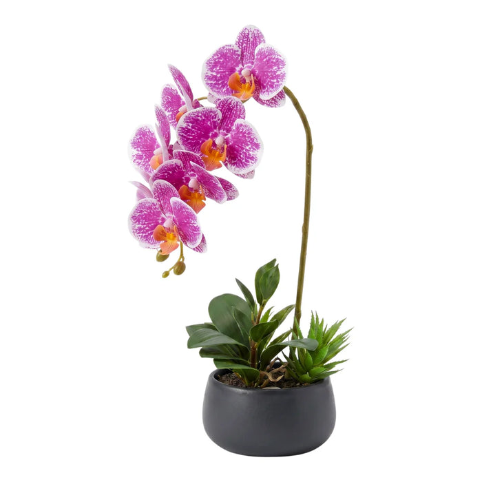 Set 2 Plantas Artificiales Orquidea Maceta Decoracion Hogar