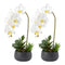 Set 2 Plantas Artificiales Orquidea Maceta Decoracion Hogar
