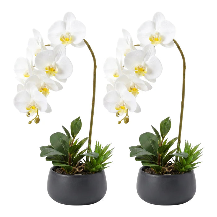 Set 2 Plantas Artificiales Orquidea Maceta Decoracion Hogar