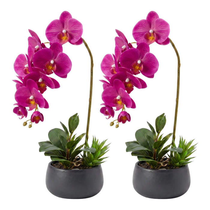 Set 2 Plantas Artificiales Orquidea Maceta Decoracion Hogar