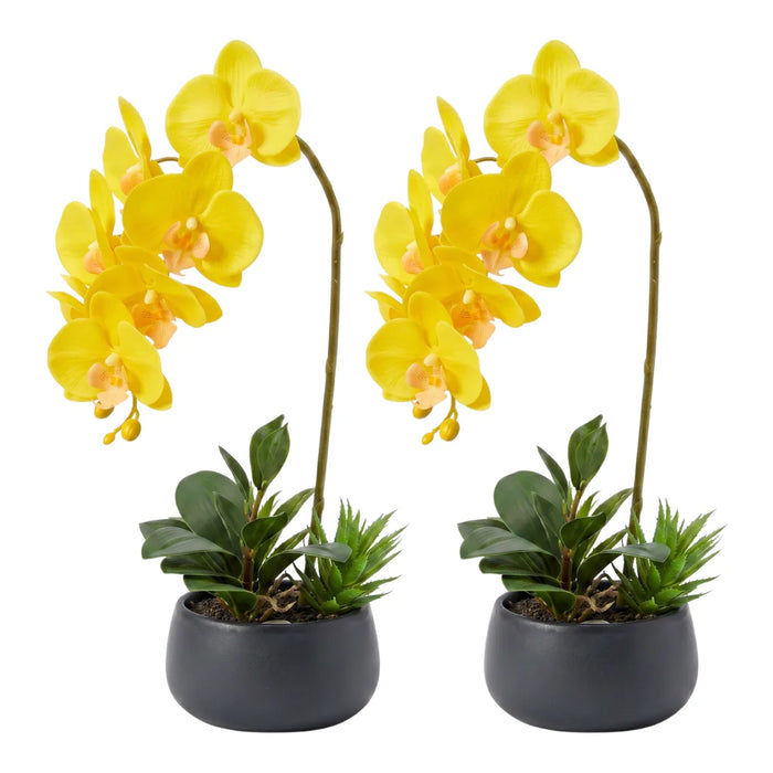 Set 2 Plantas Artificiales Orquidea Maceta Decoracion Hogar