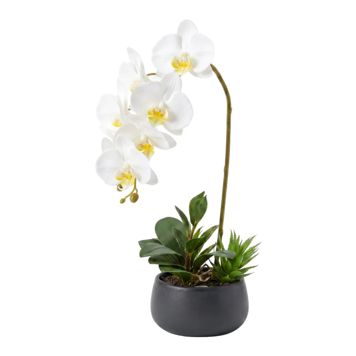 Set 2 Plantas Artificiales Orquidea Maceta Decoracion Hogar