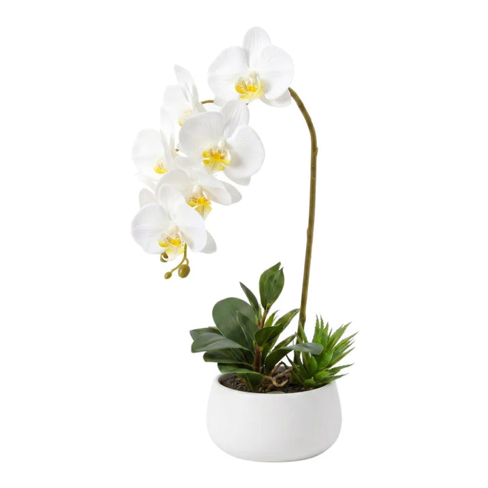 Set 2 Plantas Artificiales Orquidea Maceta Decoracion Hogar