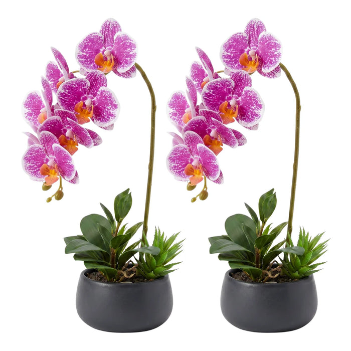 Set 2 Plantas Artificiales Orquidea Maceta Decoracion Hogar