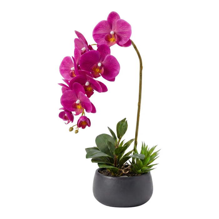 Set 2 Plantas Artificiales Orquidea Maceta Decoracion Hogar