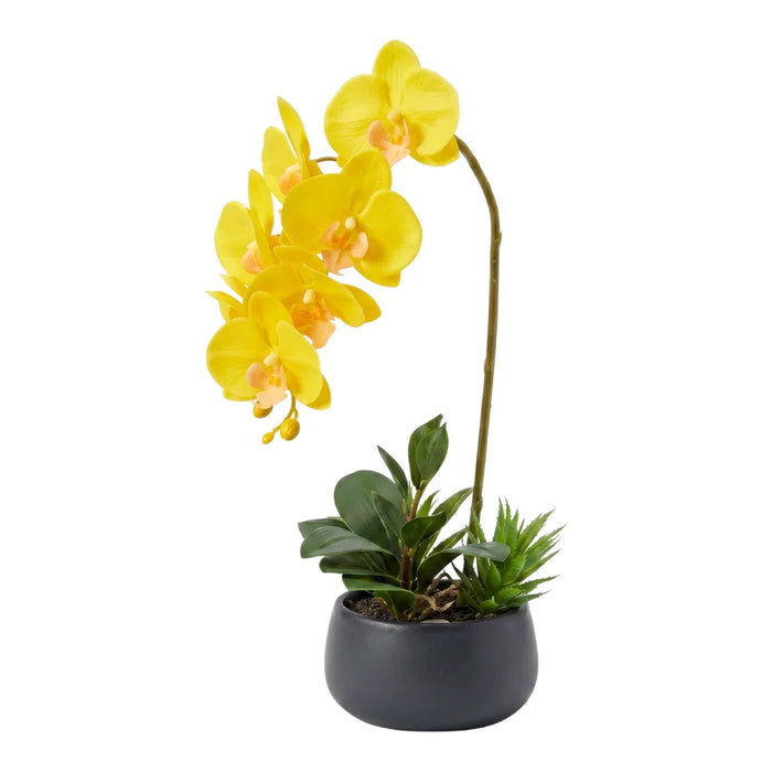 Set 2 Plantas Artificiales Orquidea Maceta Decoracion Hogar