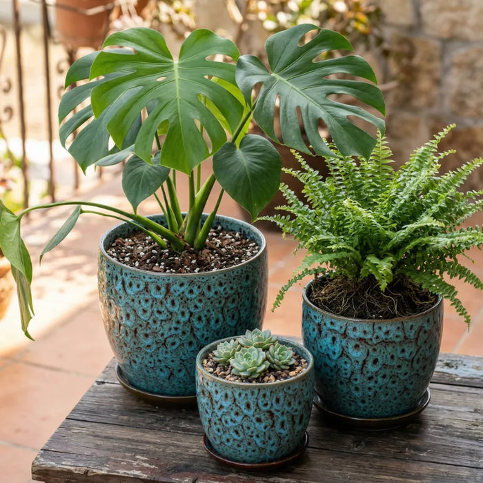 Set 3 Macetero Ceramica Azul Decorativo Texturizado Hogar