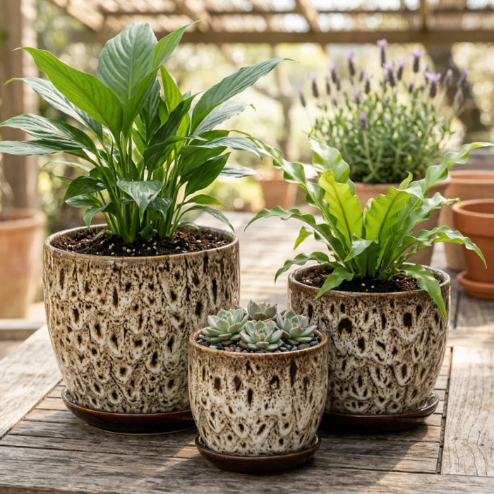 Set 3 Macetero Ceramica Decorativo Texturizado Hogar