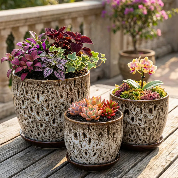 Set 3 Macetero Ceramica Decorativo Texturizado Hogar