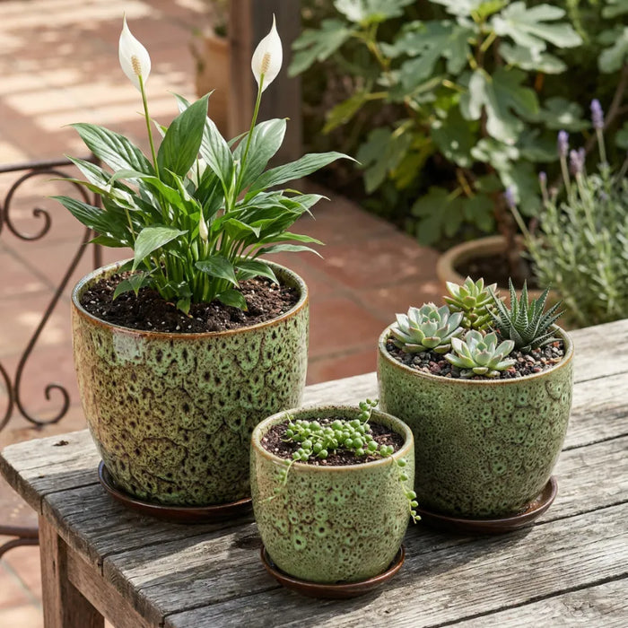 Set 3 Macetero Ceramica Verde Decorativo Texturizado Hogar