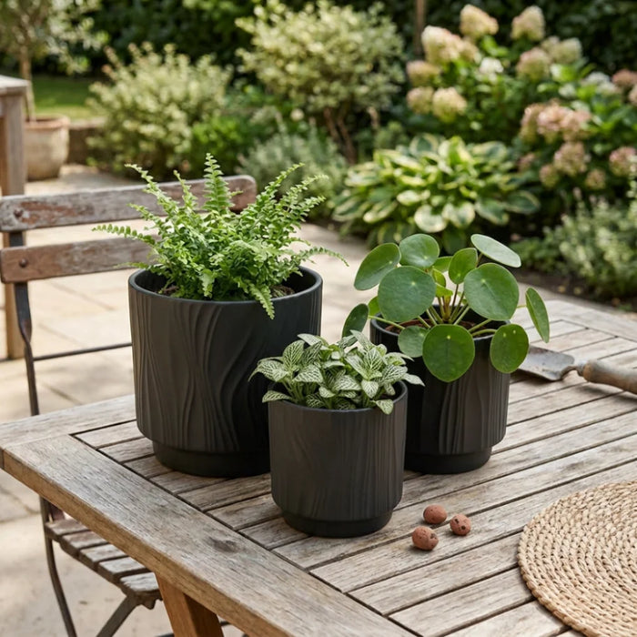 Set 3 Maceteros Maceta De Ceramica Negro Con Lineas